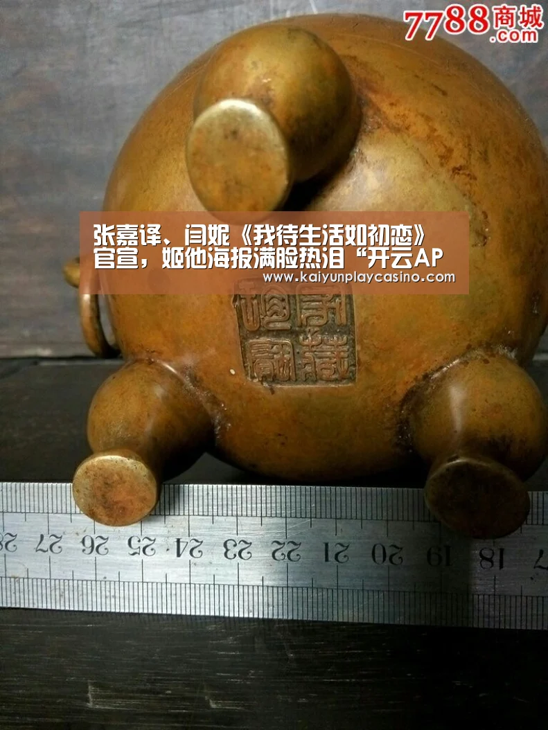 张嘉译、闫妮《我待生活如初恋》官宣,姬他海报满脸热泪“开云APP”(图1) 开云体育