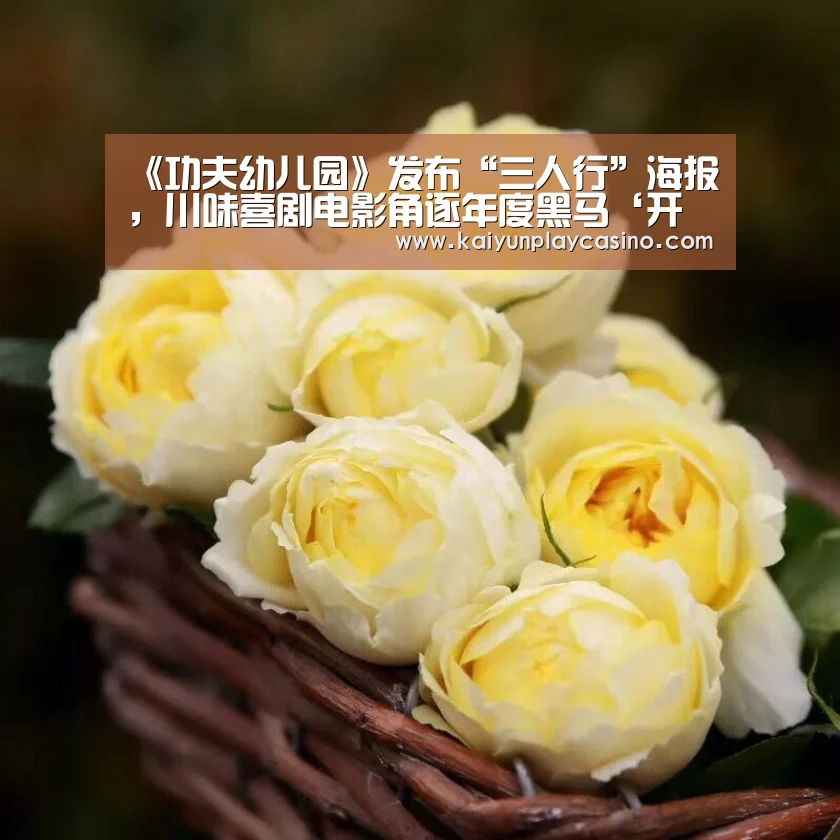 《功夫幼儿园》发布“三人行”海报,川味喜剧电影角逐年度黑马‘开云官方’(图1) 开云官方