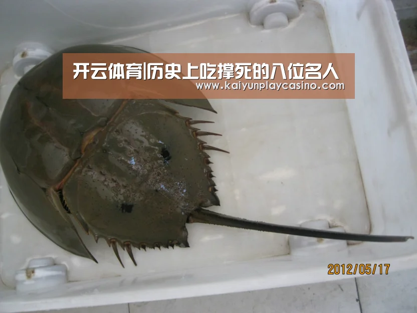 开云体育|历史上吃撑死的八位名人(图1) 开云官方
