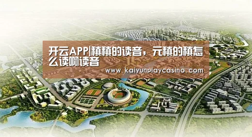 开云官方