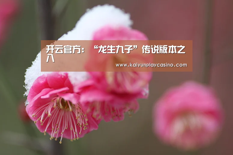 开云APP