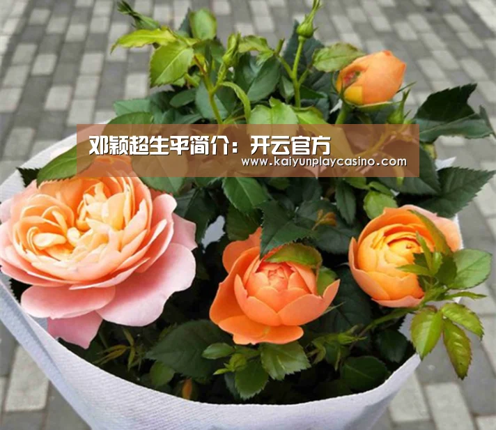 邓颖超生平简介:开云官方(图4) 开云官方
