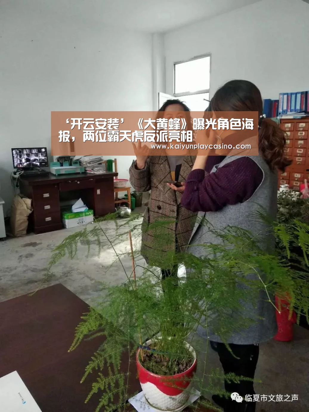 开云官方