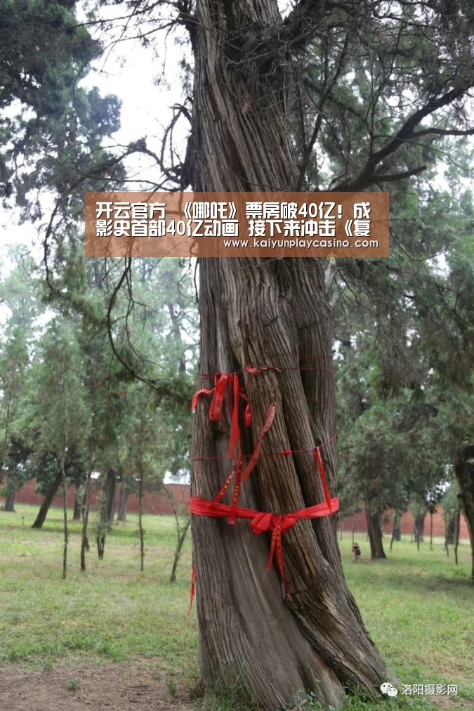 开云官方_《哪吒》票房破40亿!成影史首部40亿动画 接下来冲击《复联4》(图2) 开云APP